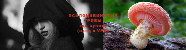 прущие крисы Балабаново