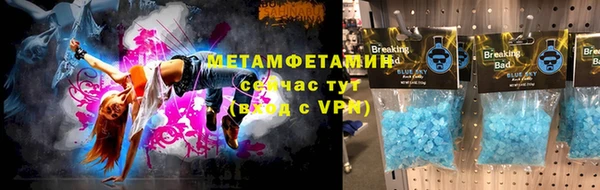стаф Аркадак