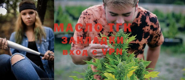 соль ск Сосновоборск